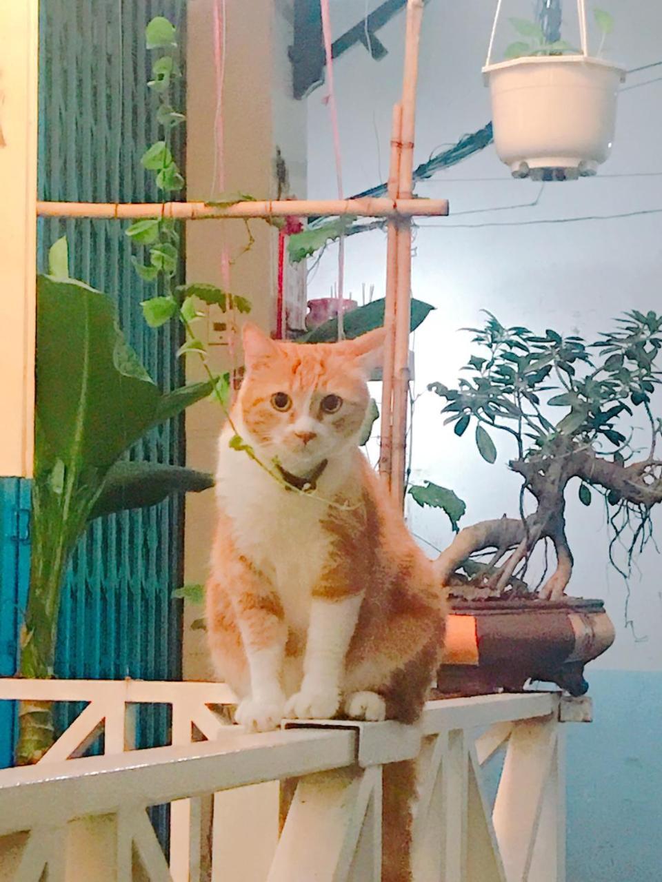Qcub1 Homestay TP. Hồ Chí Minh Ngoại thất bức ảnh